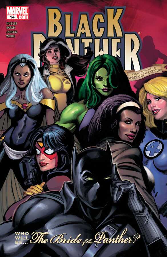 Marvel - BLACK PANTHER (2005) # 14