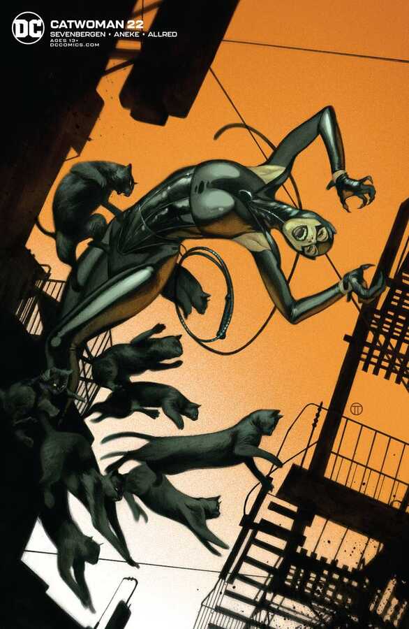 DC - Catwoman # 22 Tedesco Variant