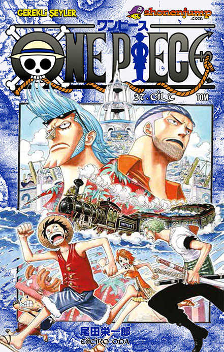 Gerekli Şeyler - One Piece Cilt 37 Tom